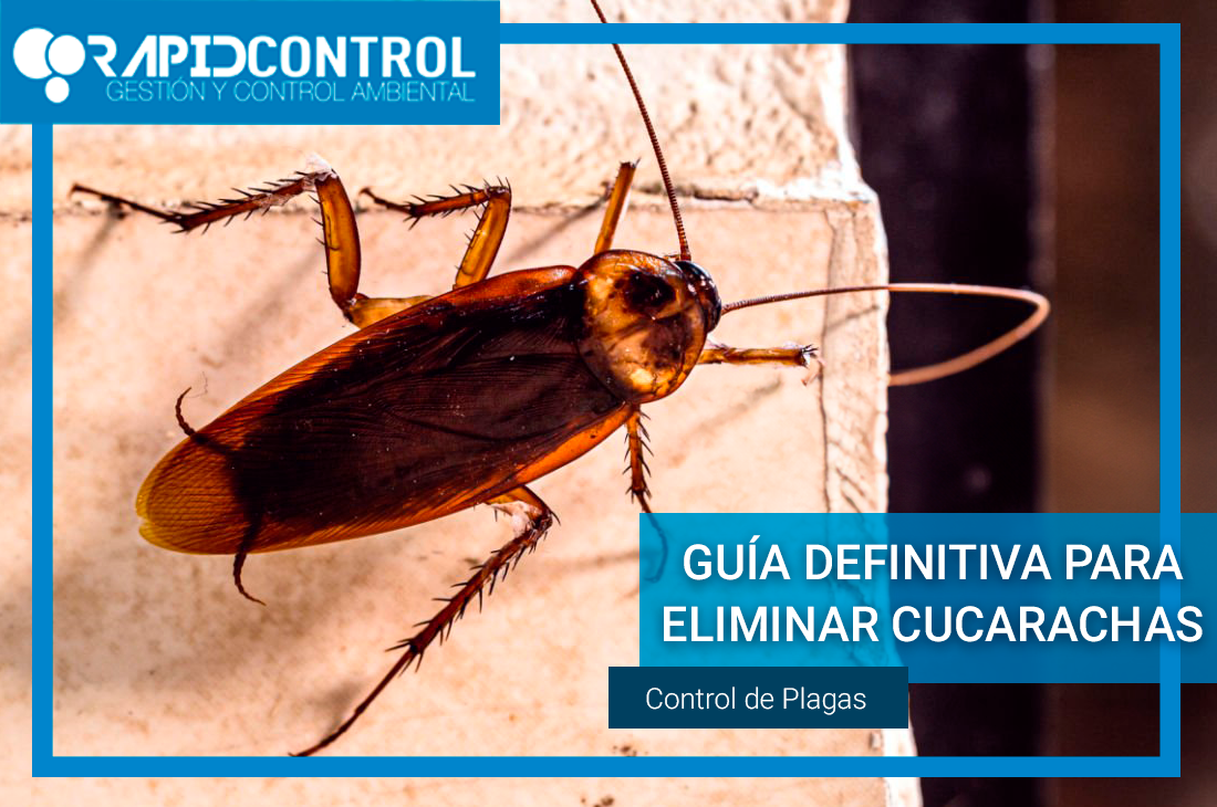 Eliminar Cucarachas Definitivamente: Guía Completa para un Hogar Libre de Plagas
