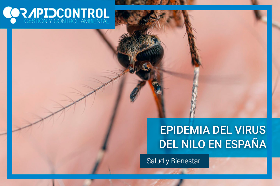 Epidemia del virus del Nilo en España