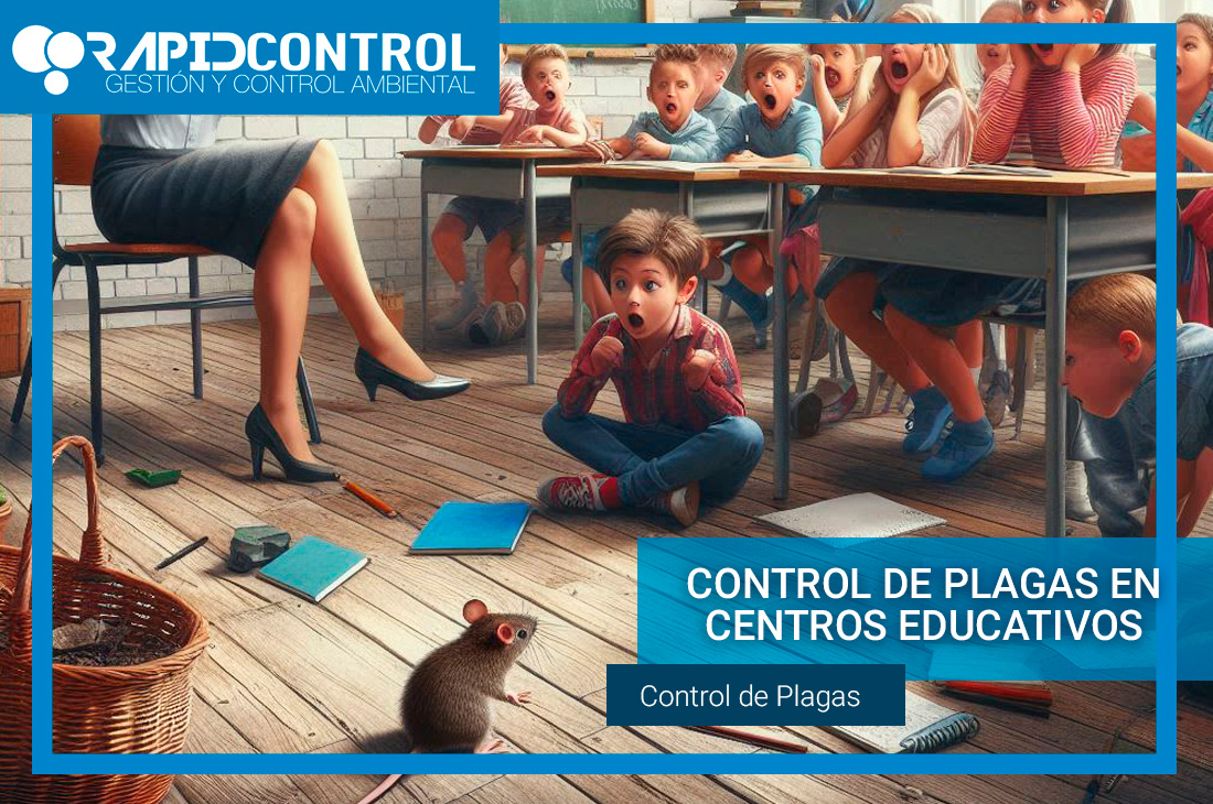 Control de plagas en Colegios y Centros Educativos